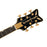 Gretsch G6134TG Limited Edition Black Paisley Penguin Bigsby Ebony Fingerboard 2400549886