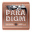 Ernie Ball 2080 Paradigm Light Phosphor Bronze Acoustic Guitar Strings (10-50)