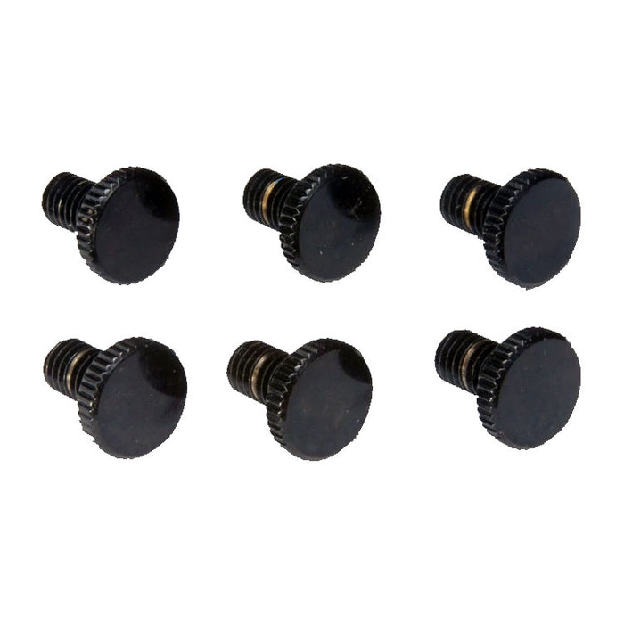 Floyd Rose Original Fine Tuning Screws FROFTSBP