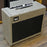Morgan Amplification SW22R Reverb Combo Amp Driftwood