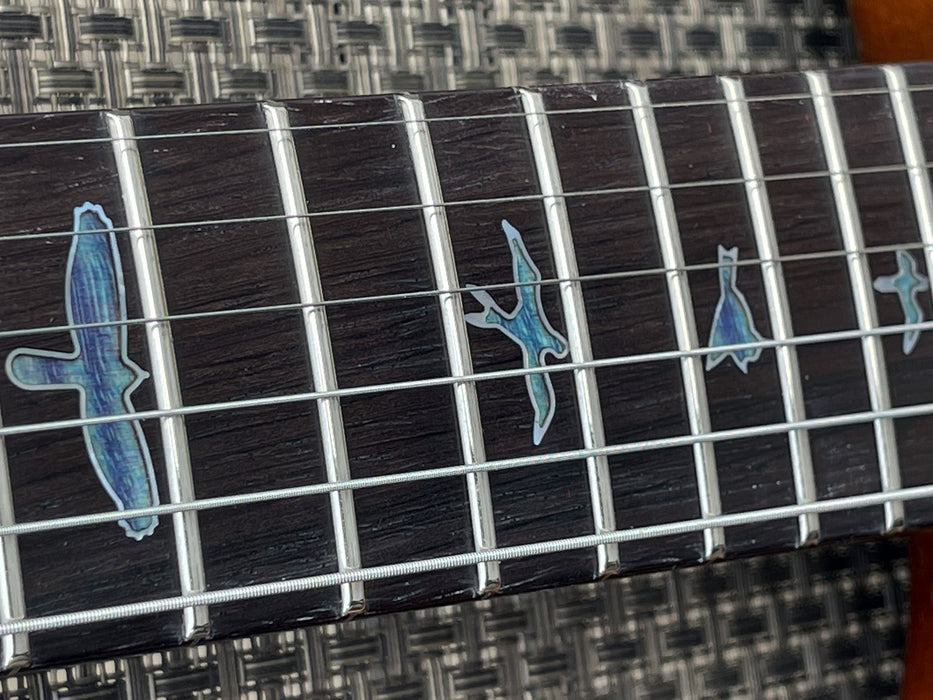 PRS Private Stock Brazilian Custom 24 Electric Guitar Aqua Violet Nitro 10264